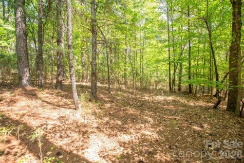 1518 W Paradise Harbor Drive Connelly Springs NC 28612