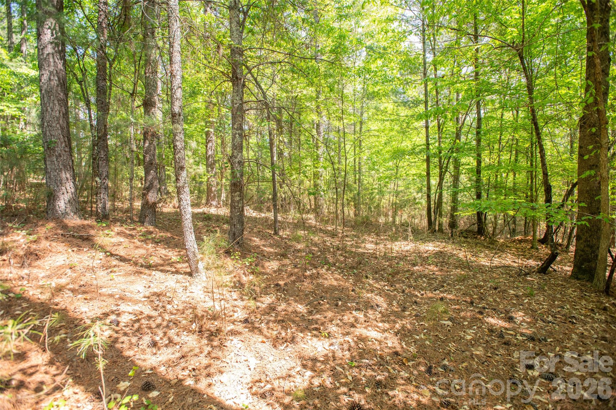 1518 W Paradise Harbor Drive Connelly Springs NC 28612