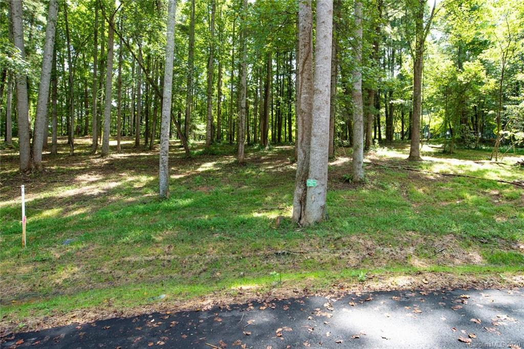 124 Poplar Green Way Asheville NC 28806