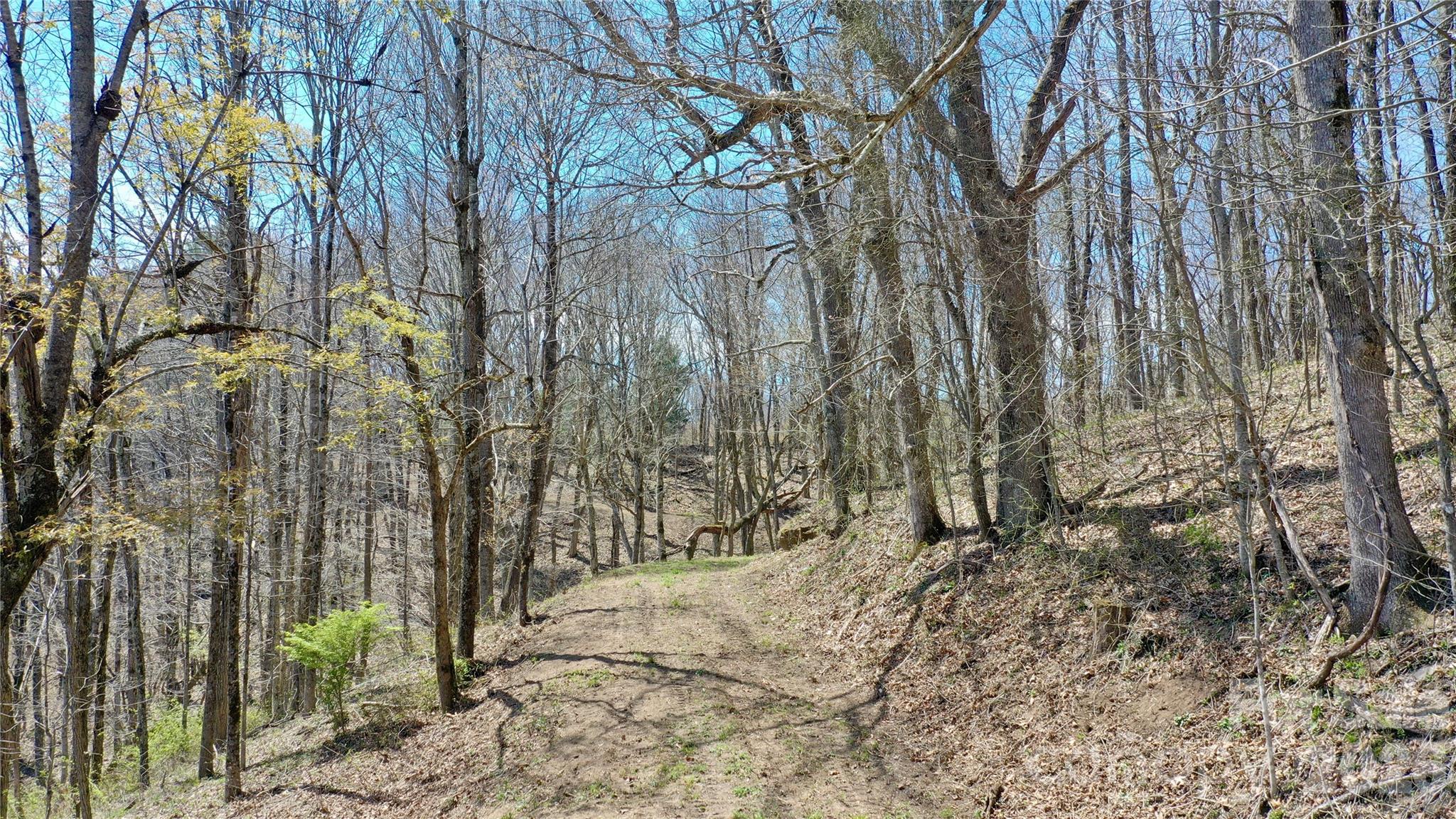 00 Big Ridge Road Glenville NC 28736