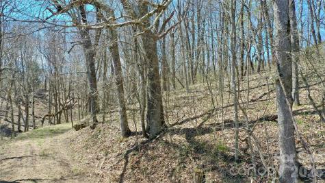 00 Big Ridge Road Glenville NC 28736