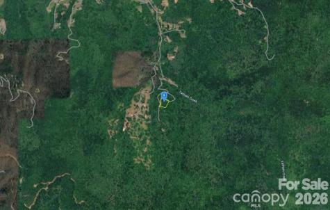 6 Fiddle Fern Loop Sylva NC 28779