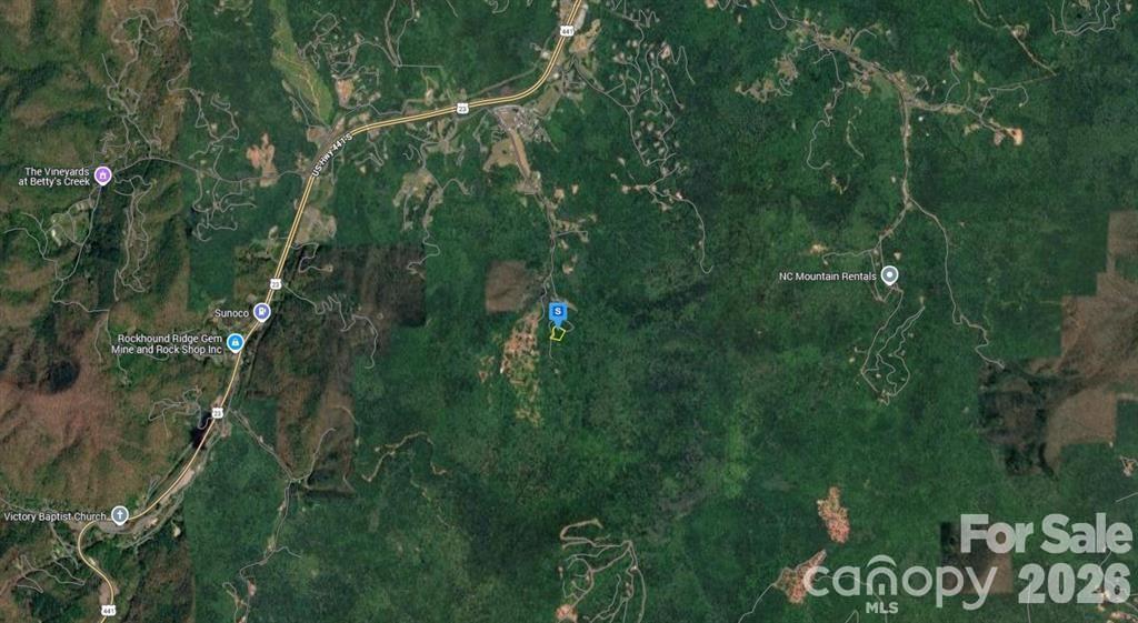 6 Fiddle Fern Loop Sylva NC 28779