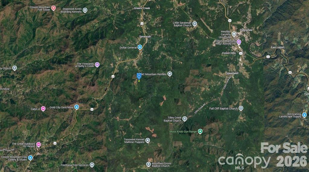 6 Fiddle Fern Loop Sylva NC 28779