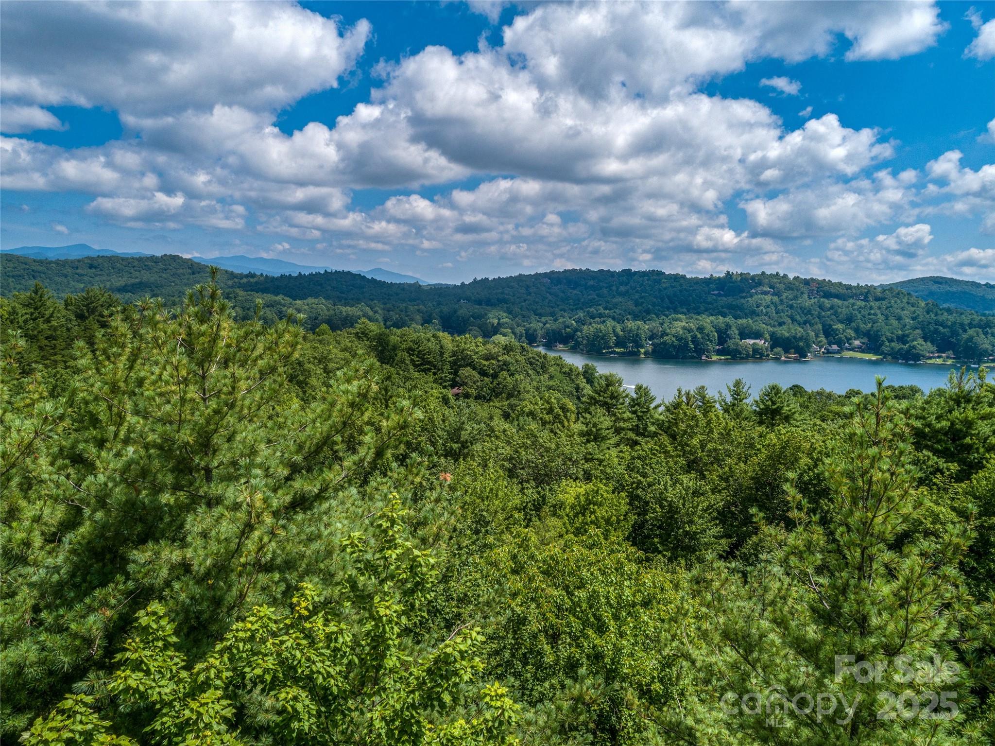 Tbd Seminole Way Lake Toxaway NC 28747