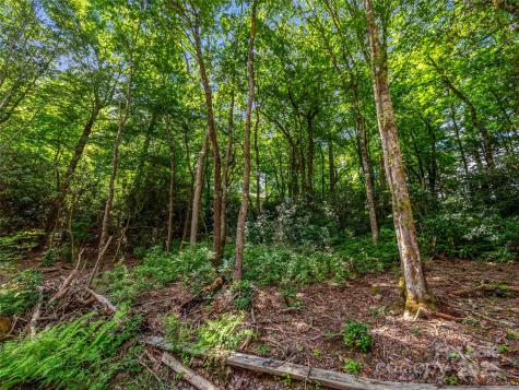 Tbd Seminole Way Lake Toxaway NC 28747