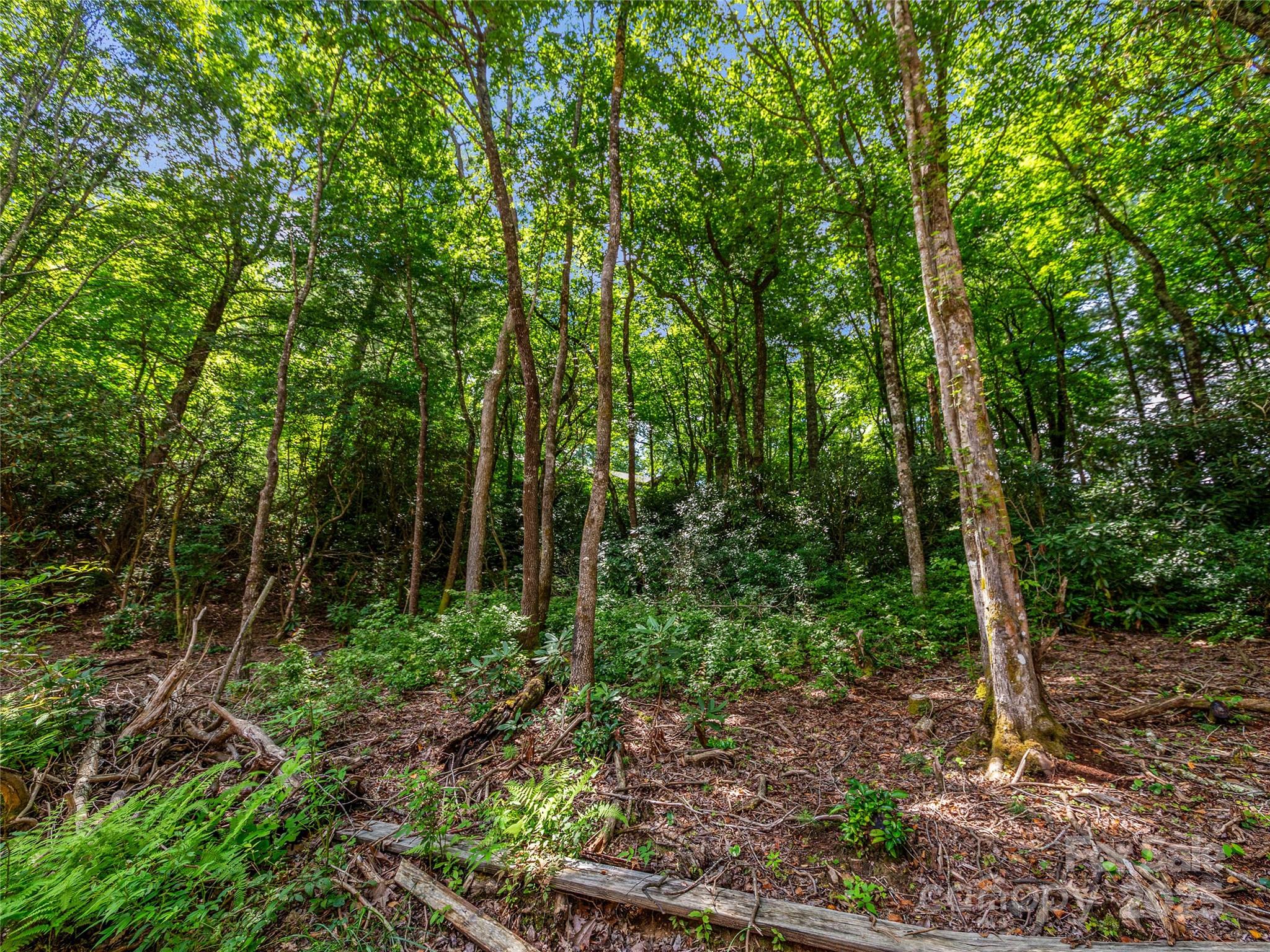Tbd Seminole Way Lake Toxaway NC 28747