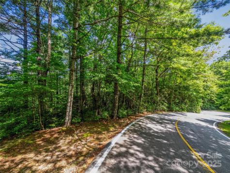 Tbd Seminole Way Lake Toxaway NC 28747