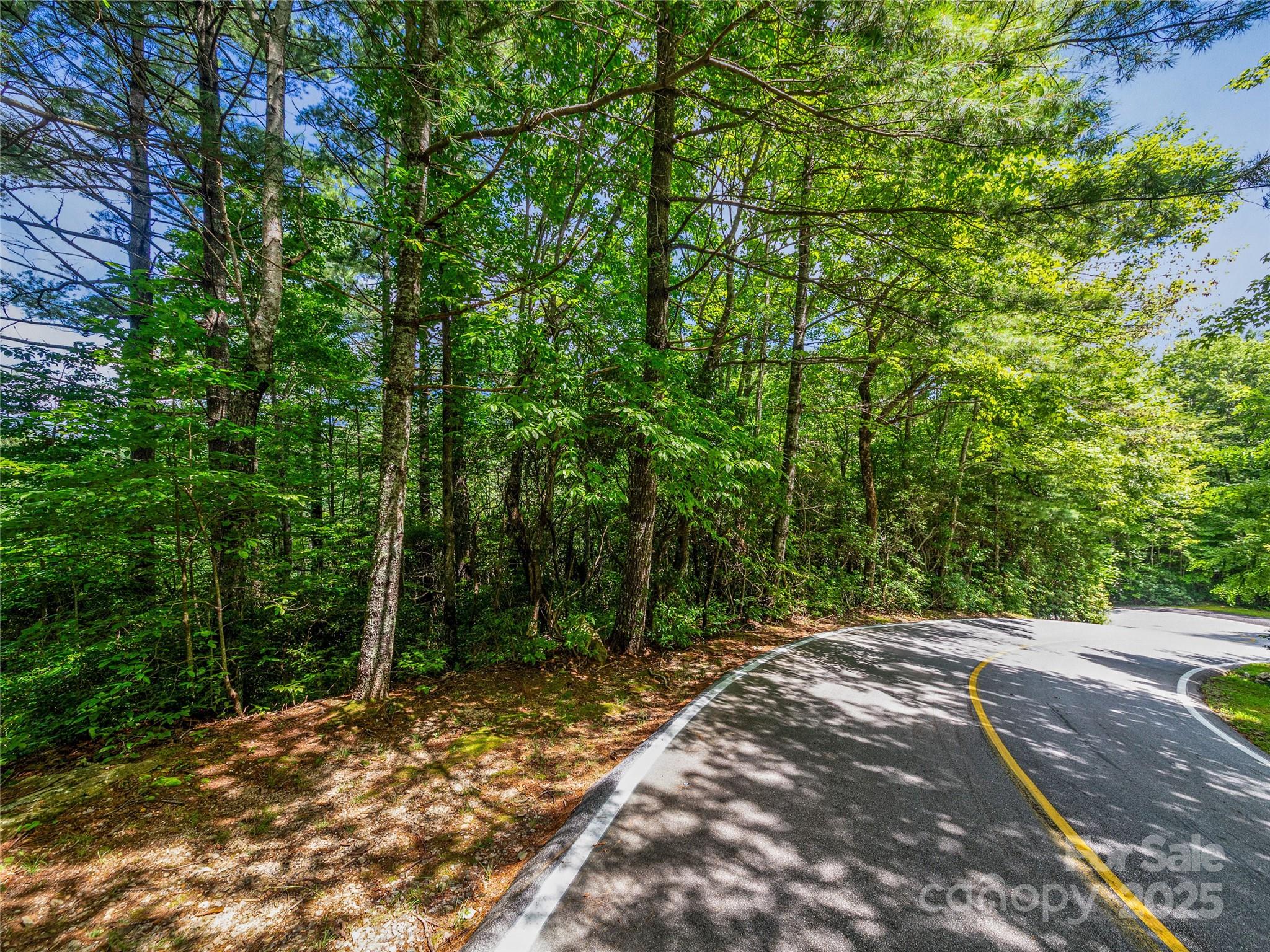 Tbd Seminole Way Lake Toxaway NC 28747