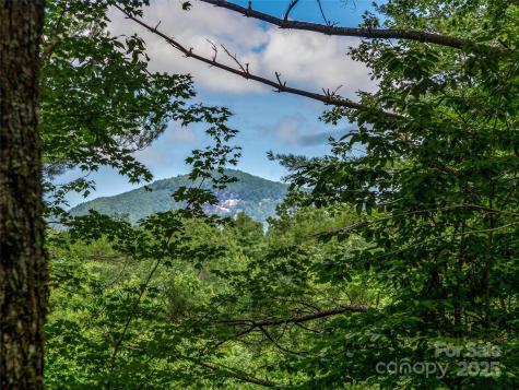 Tbd Seminole Way Lake Toxaway NC 28747