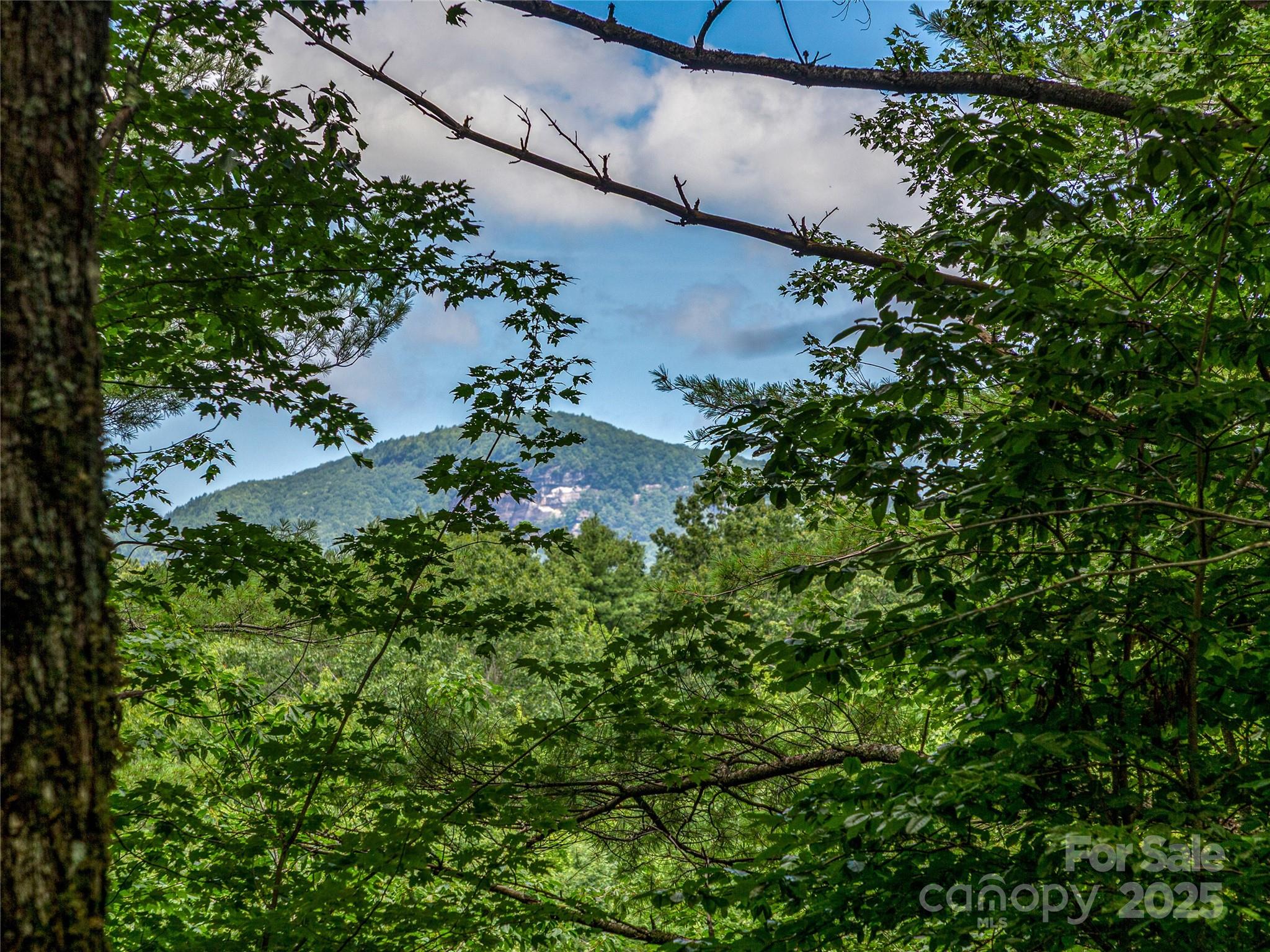 Tbd Seminole Way Lake Toxaway NC 28747