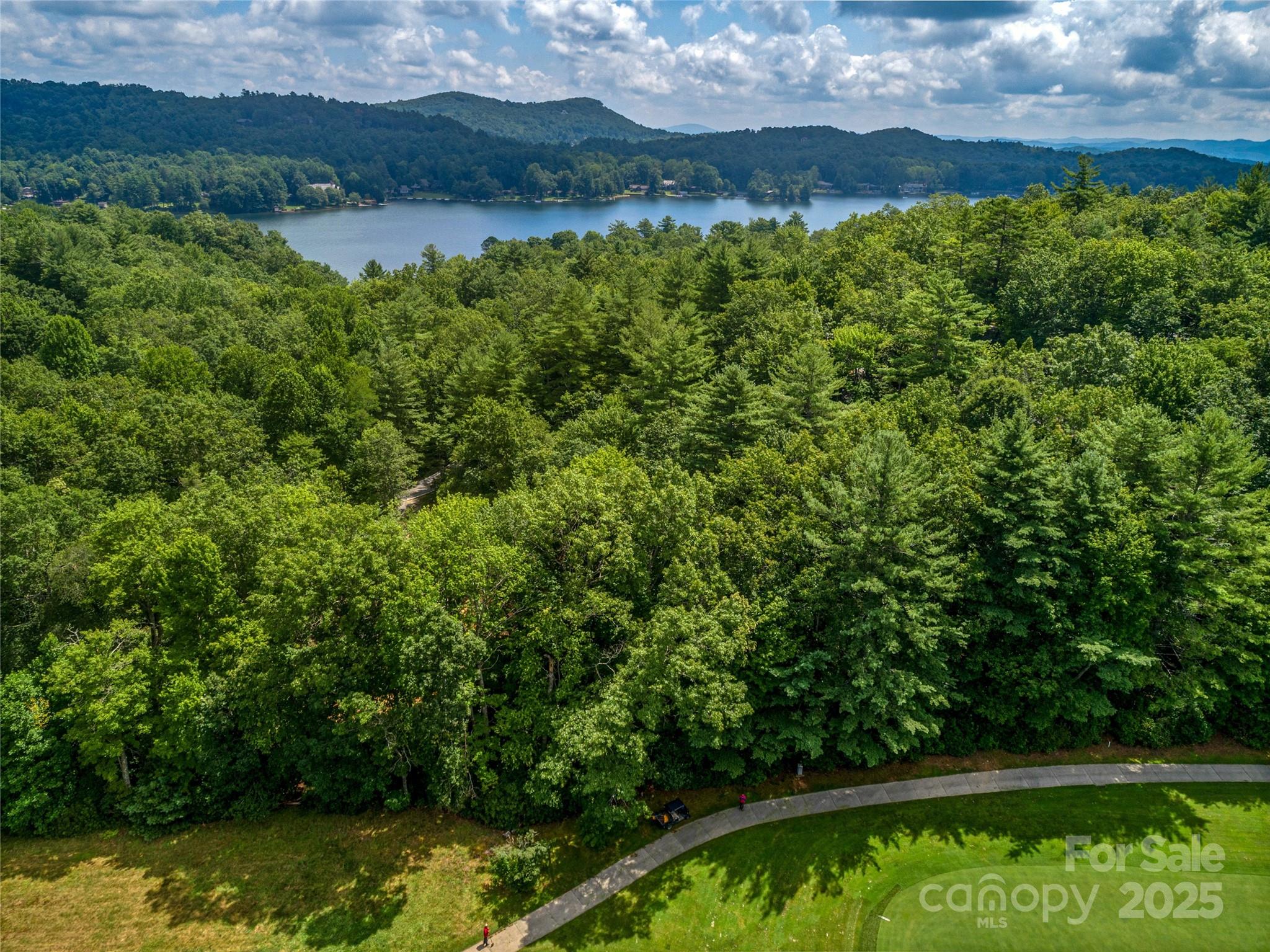 Tbd Seminole Way Lake Toxaway NC 28747