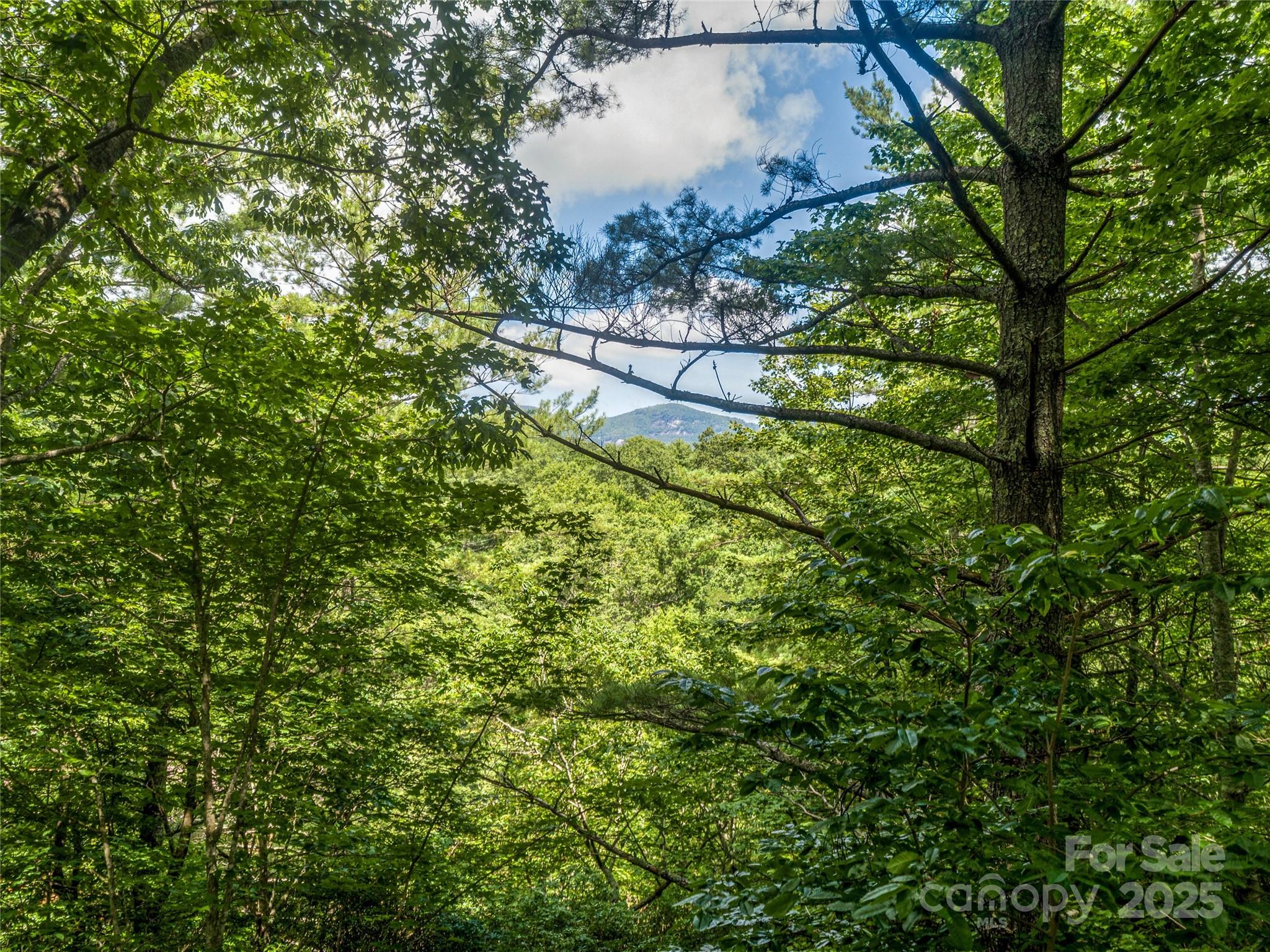 Tbd Seminole Way Lake Toxaway NC 28747