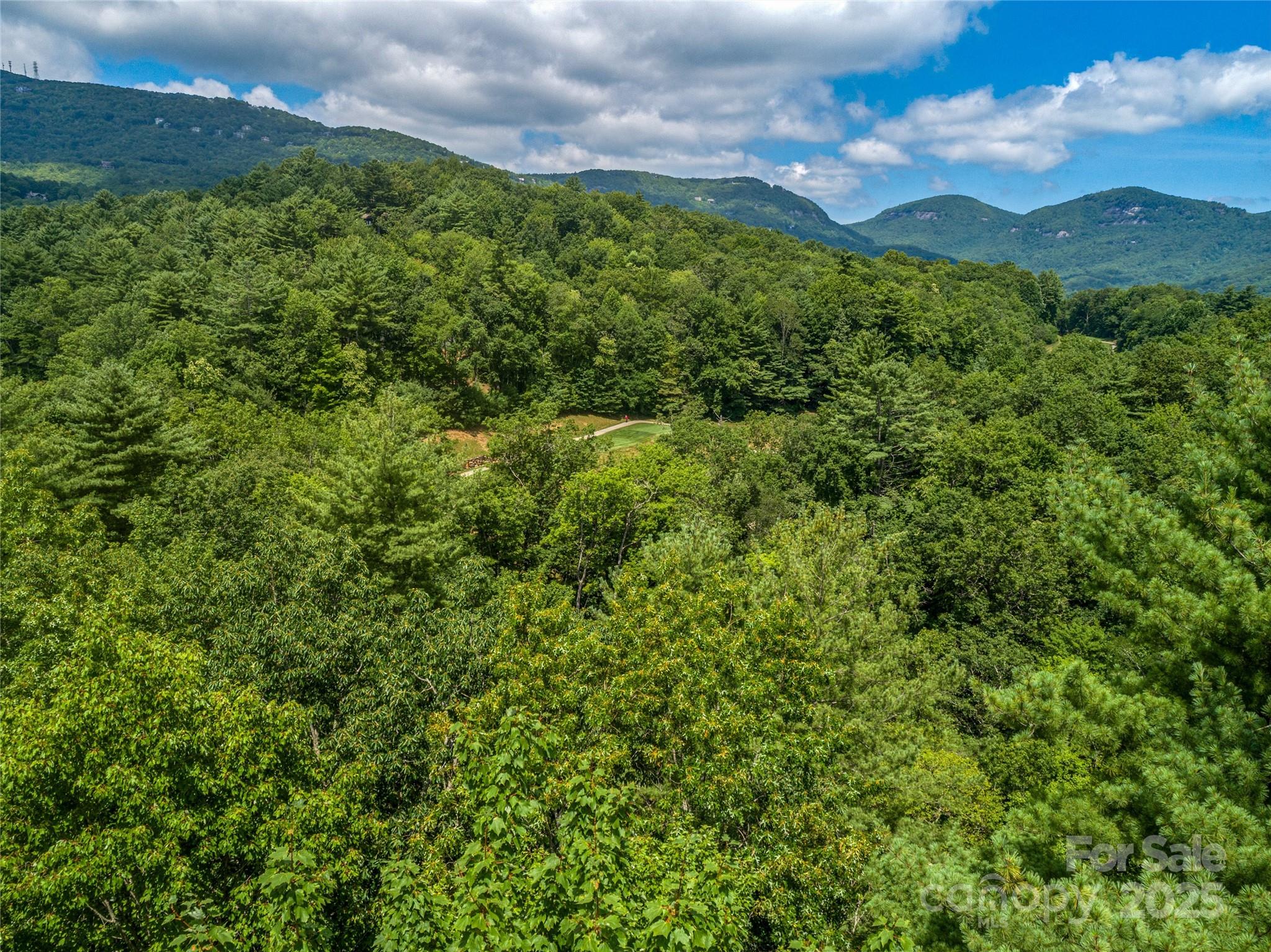 Tbd Seminole Way Lake Toxaway NC 28747