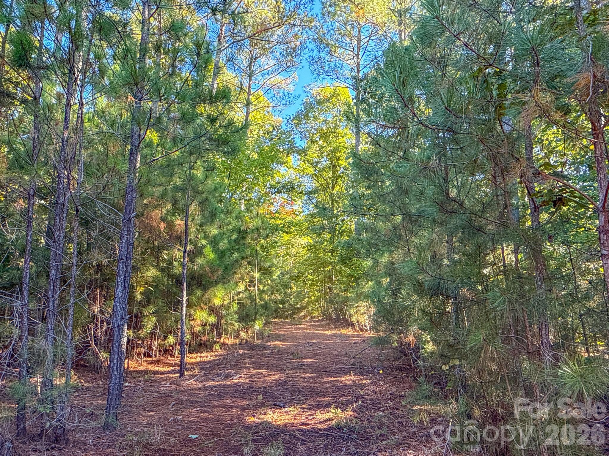 0 Highway 731 Highway E Candor NC 27229