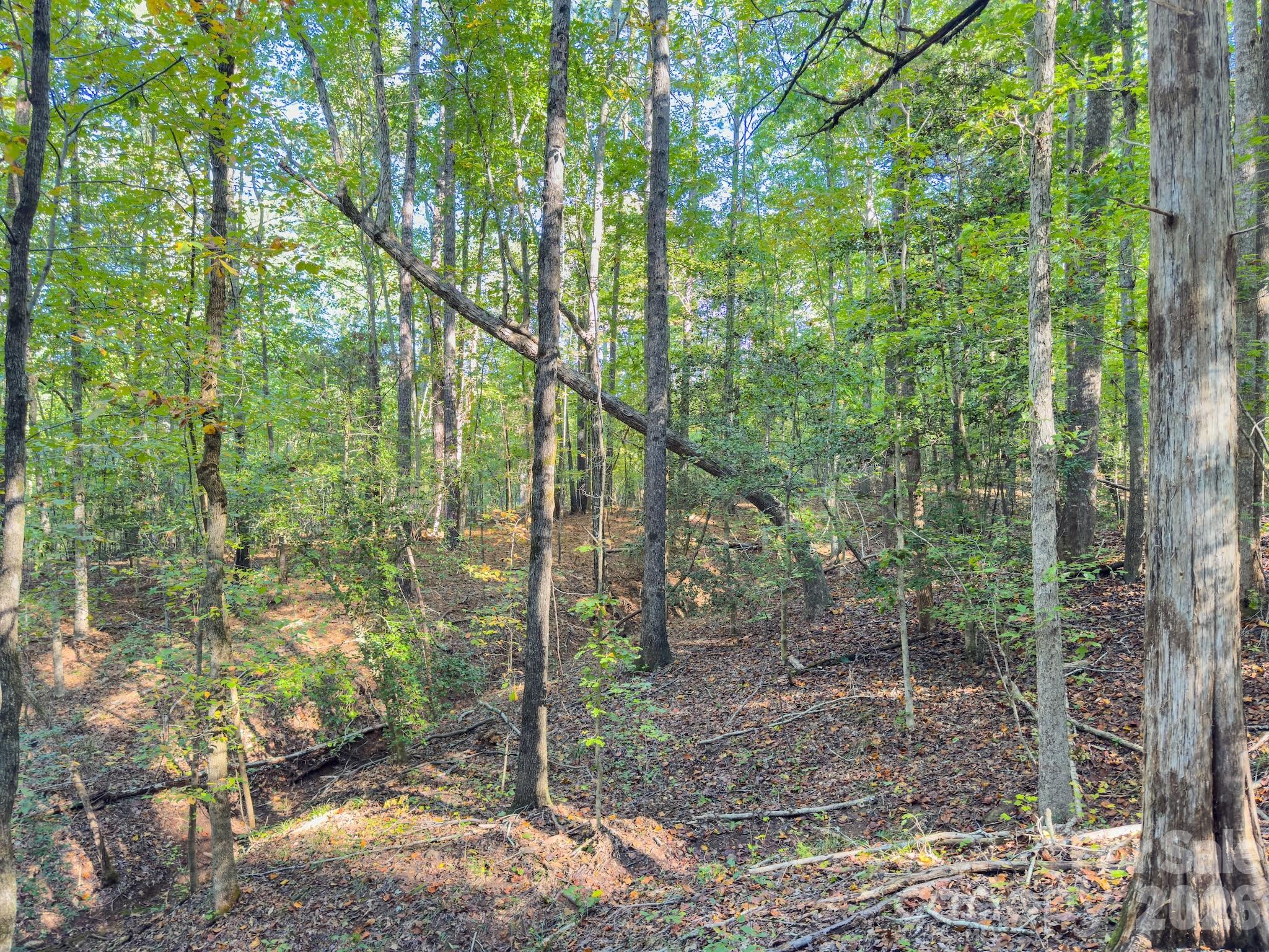0 Highway 731 Highway E Candor NC 27229