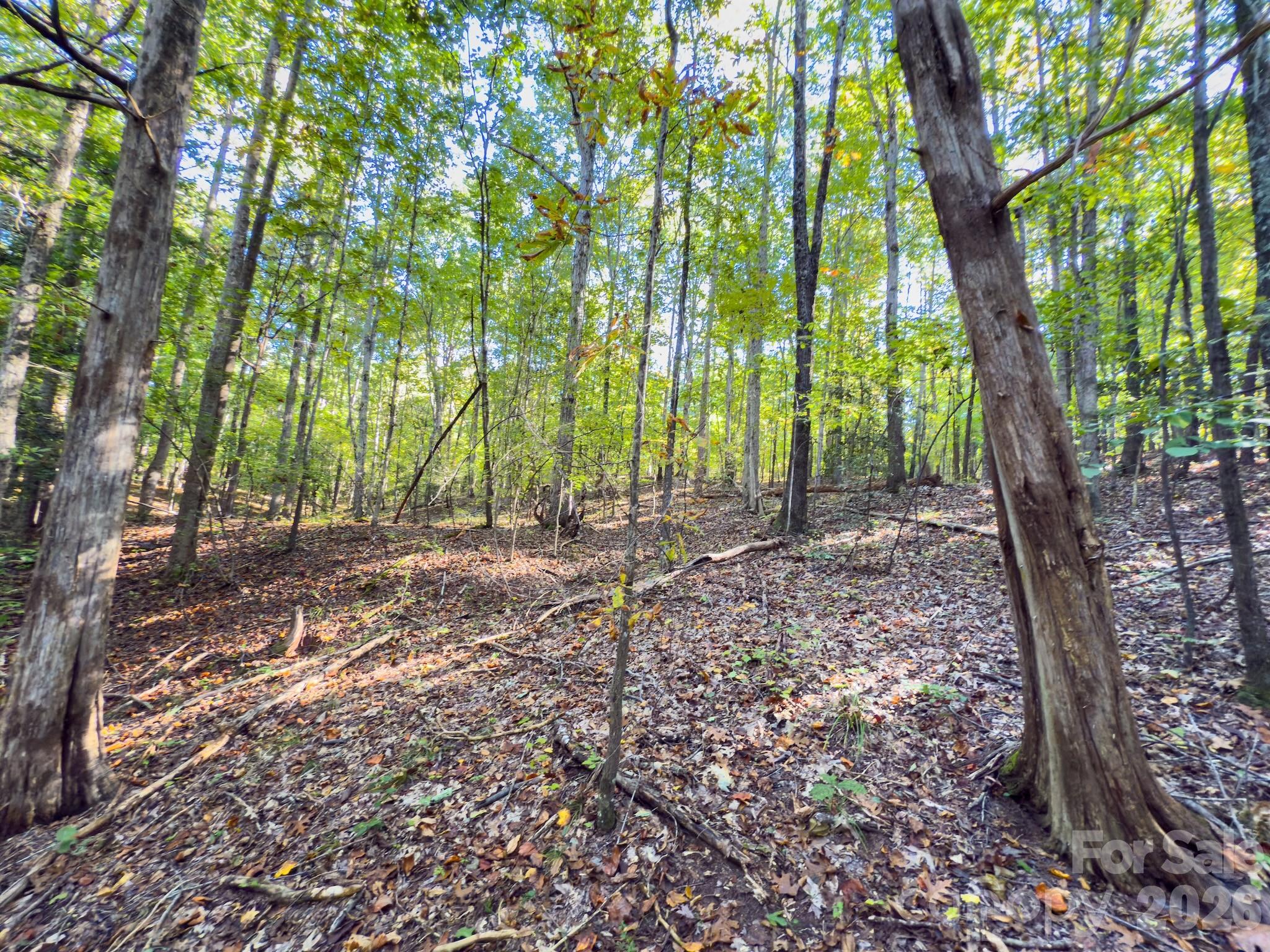 0 Highway 731 Highway E Candor NC 27229