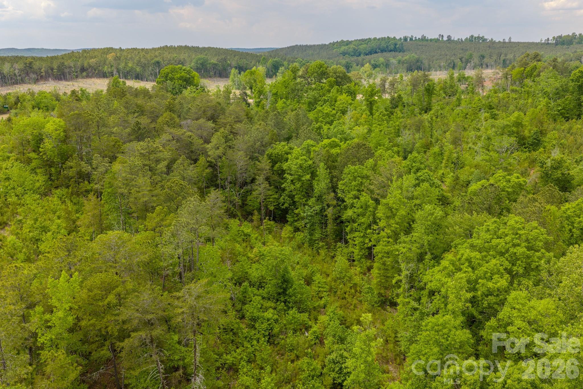 0 Highway 731 Highway E Candor NC 27229