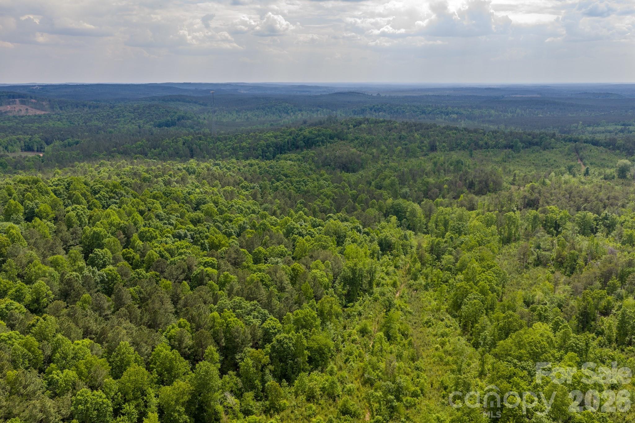 0 Highway 731 Highway E Candor NC 27229