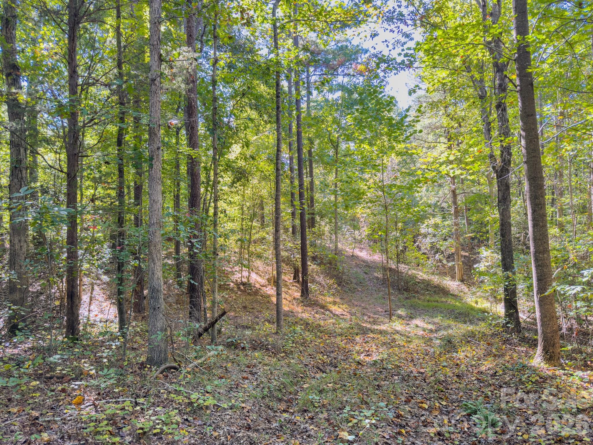 0 Highway 731 Highway E Candor NC 27229