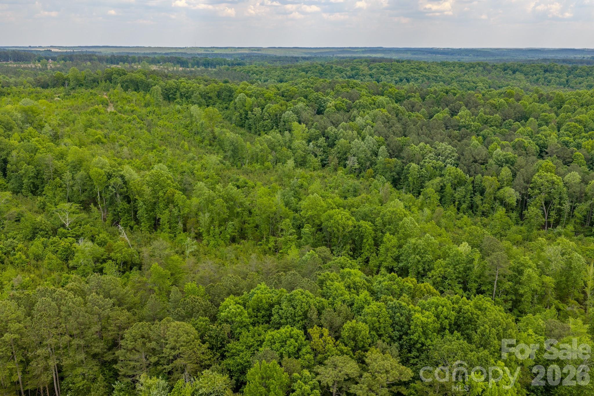 0 Highway 731 Highway E Candor NC 27229