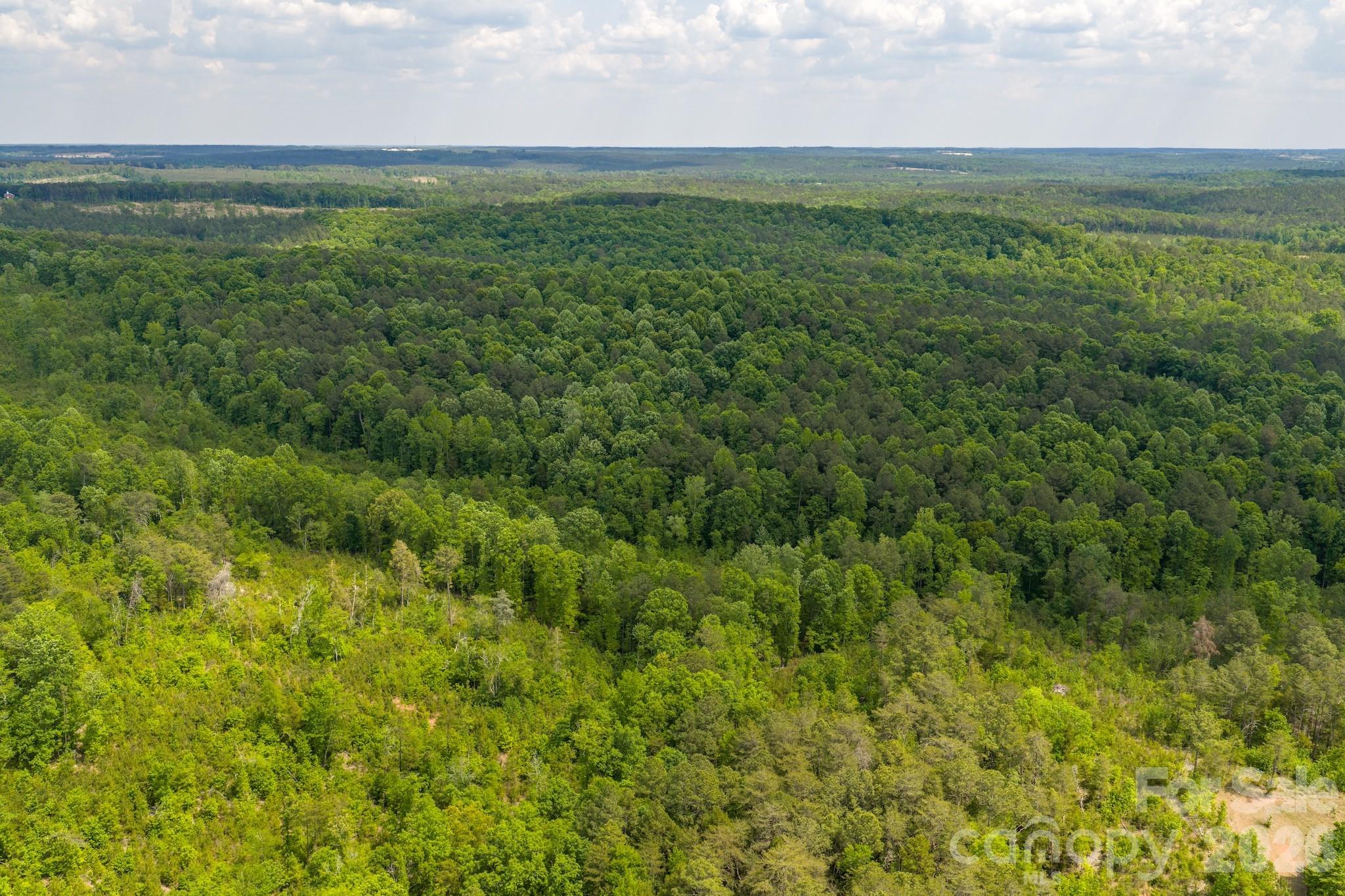 0 Highway 731 Highway E Candor NC 27229