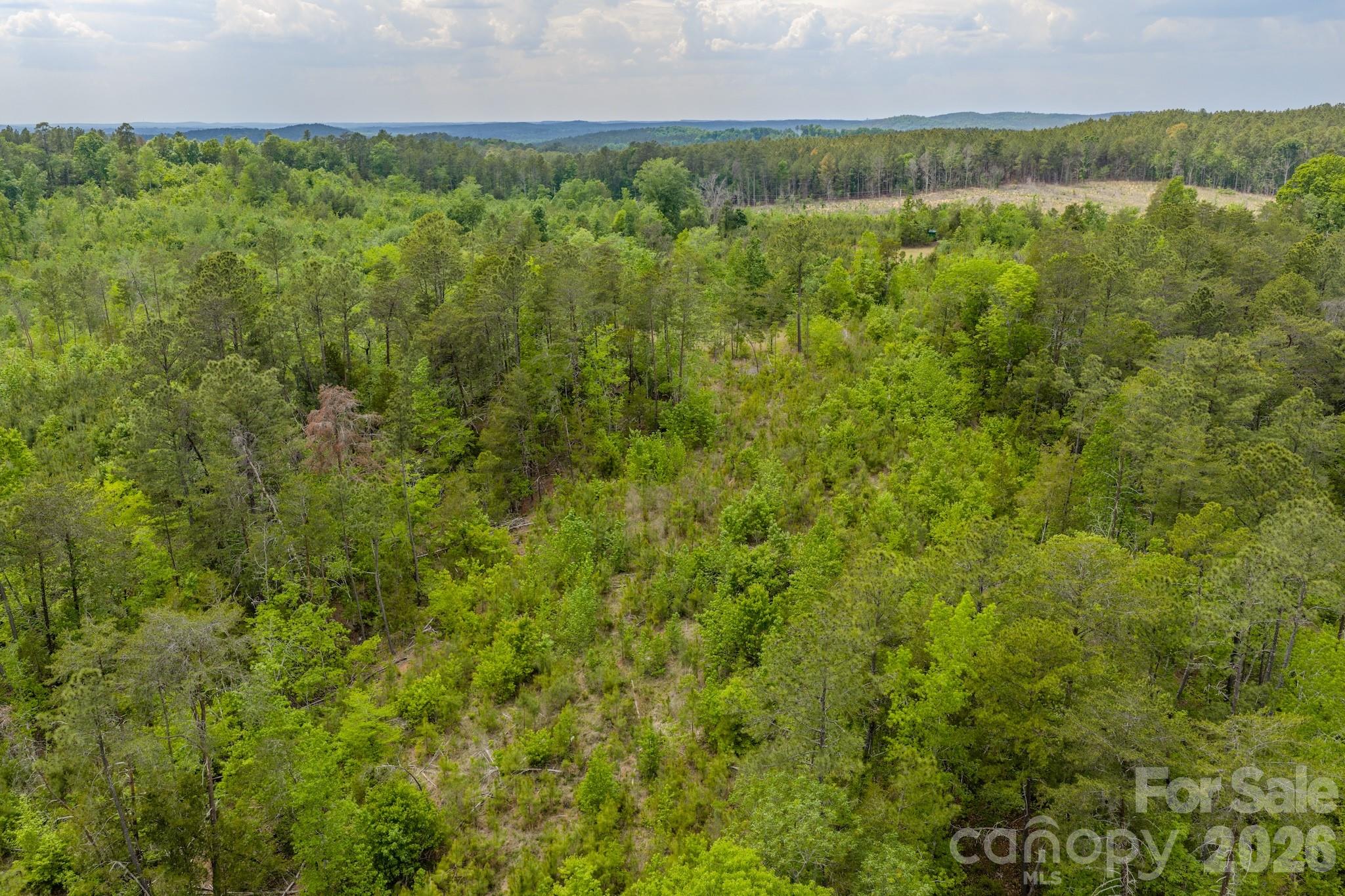 0 Highway 731 Highway E Candor NC 27229