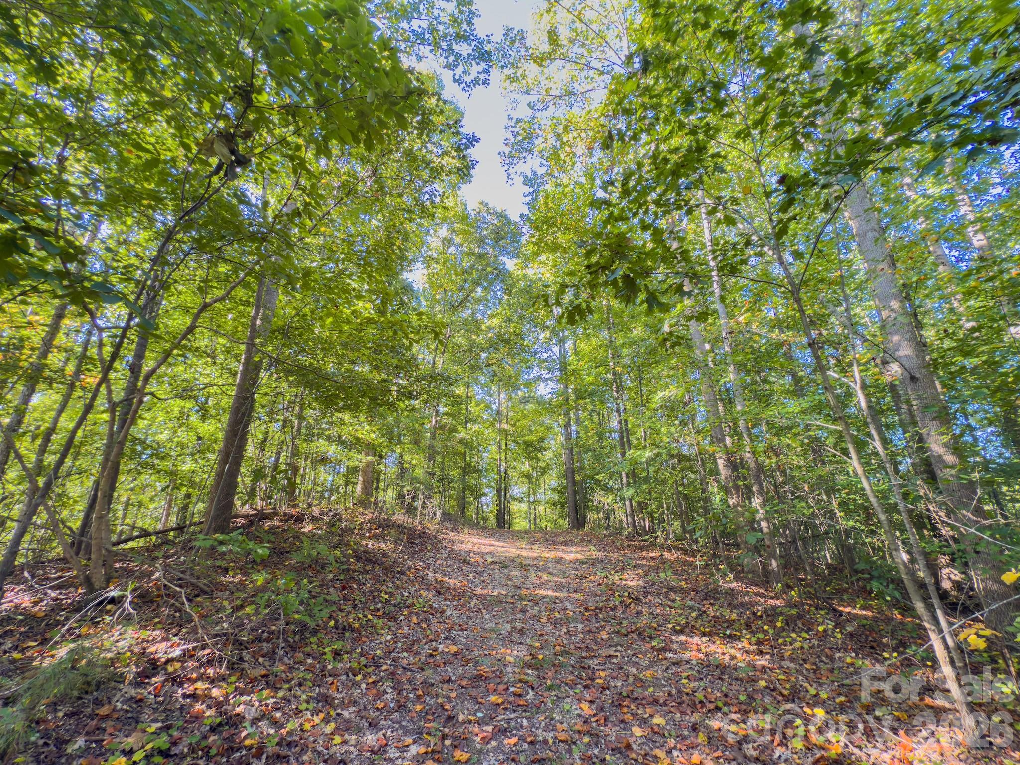 0 Highway 731 Highway E Candor NC 27229