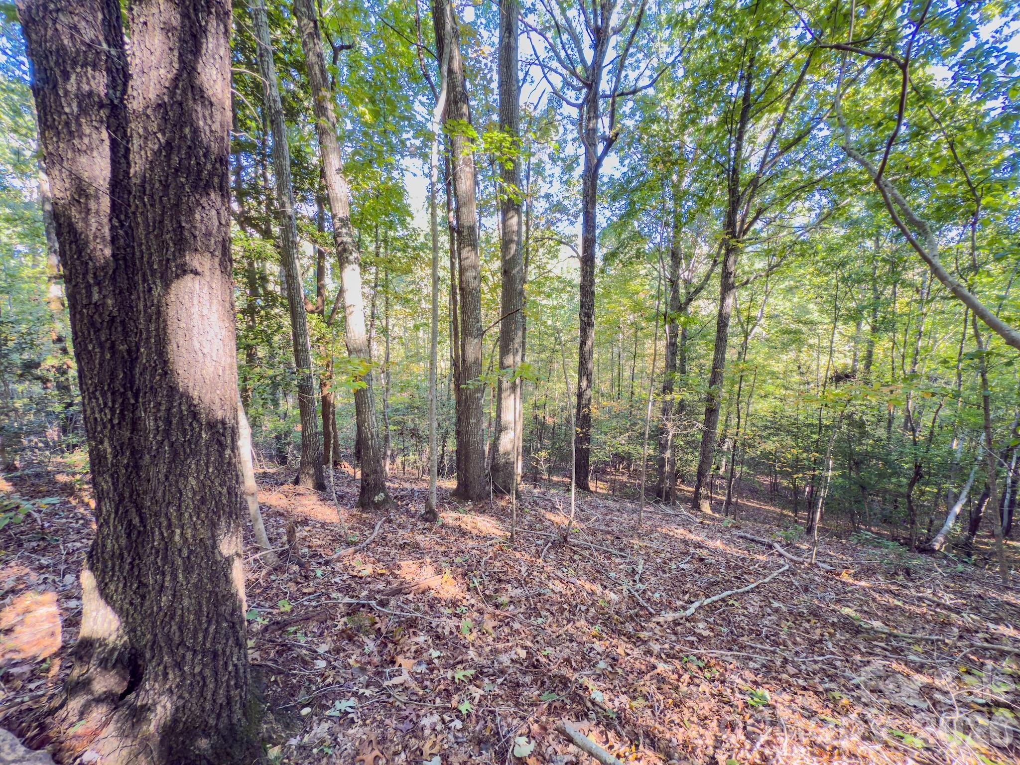 0 Highway 731 Highway E Candor NC 27229