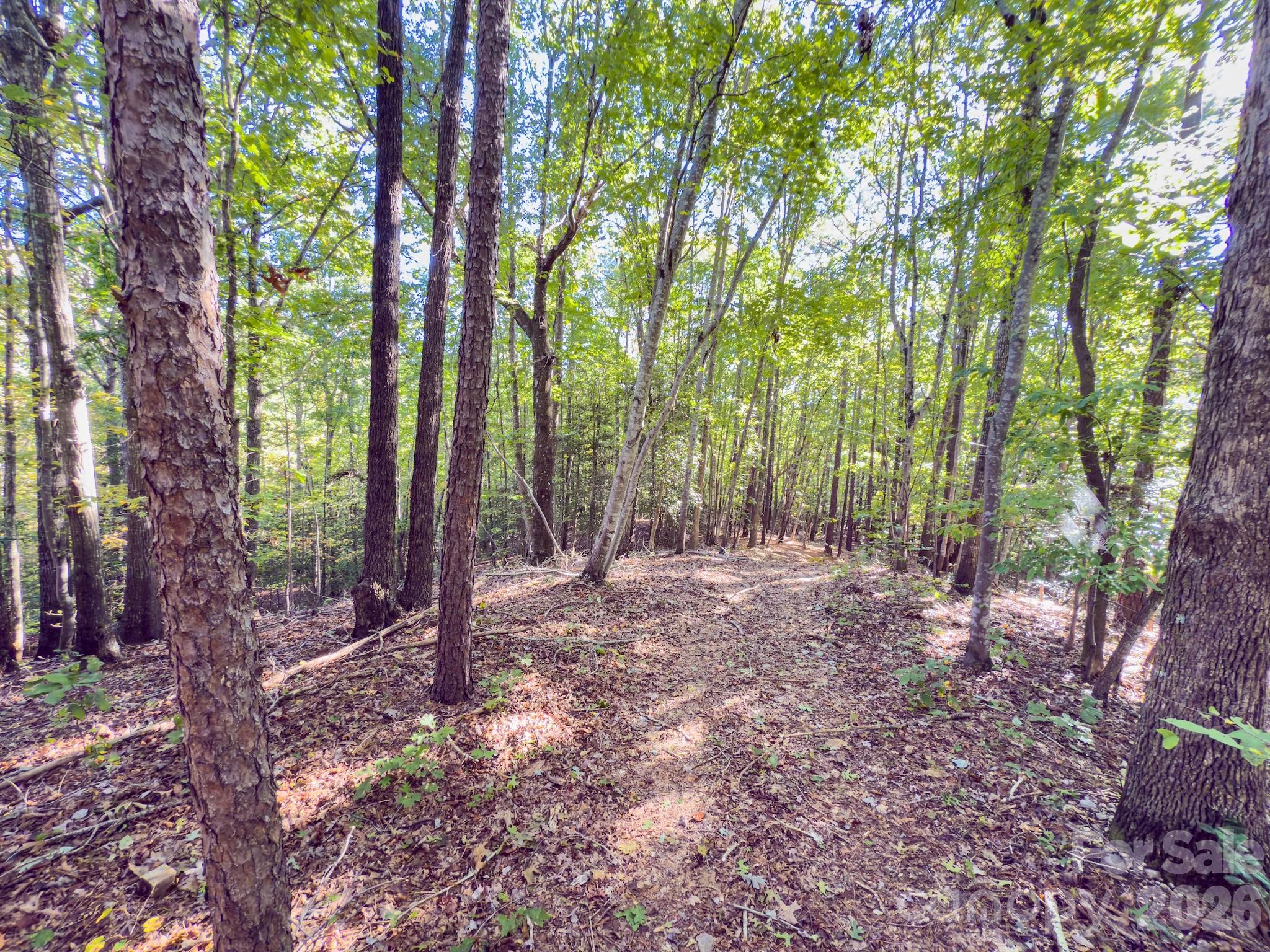 0 Highway 731 Highway E Candor NC 27229