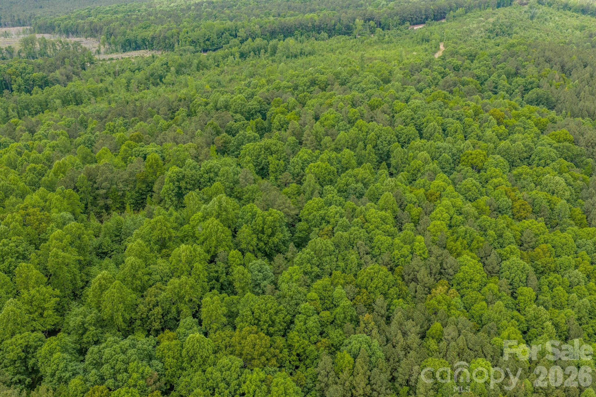 0 Highway 731 Highway E Candor NC 27229