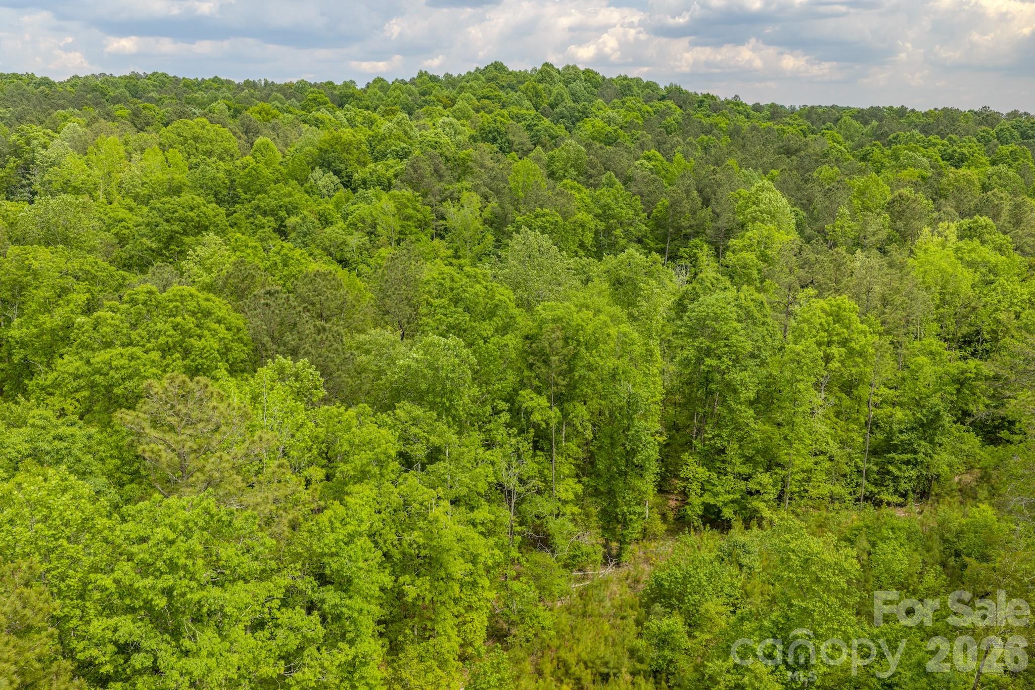 0 Highway 731 Highway E Candor NC 27229
