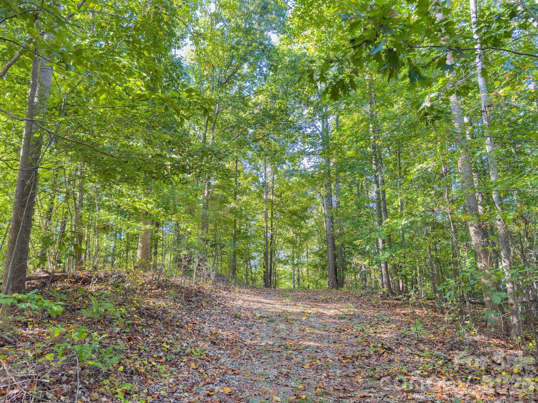 0 Highway 731 Highway E Candor NC 27229