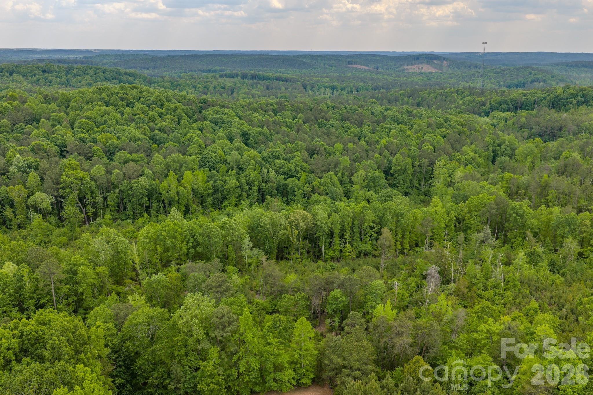 0 Highway 731 Highway E Candor NC 27229