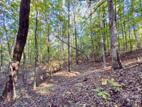 0 Highway 731 Highway E Candor NC 27229