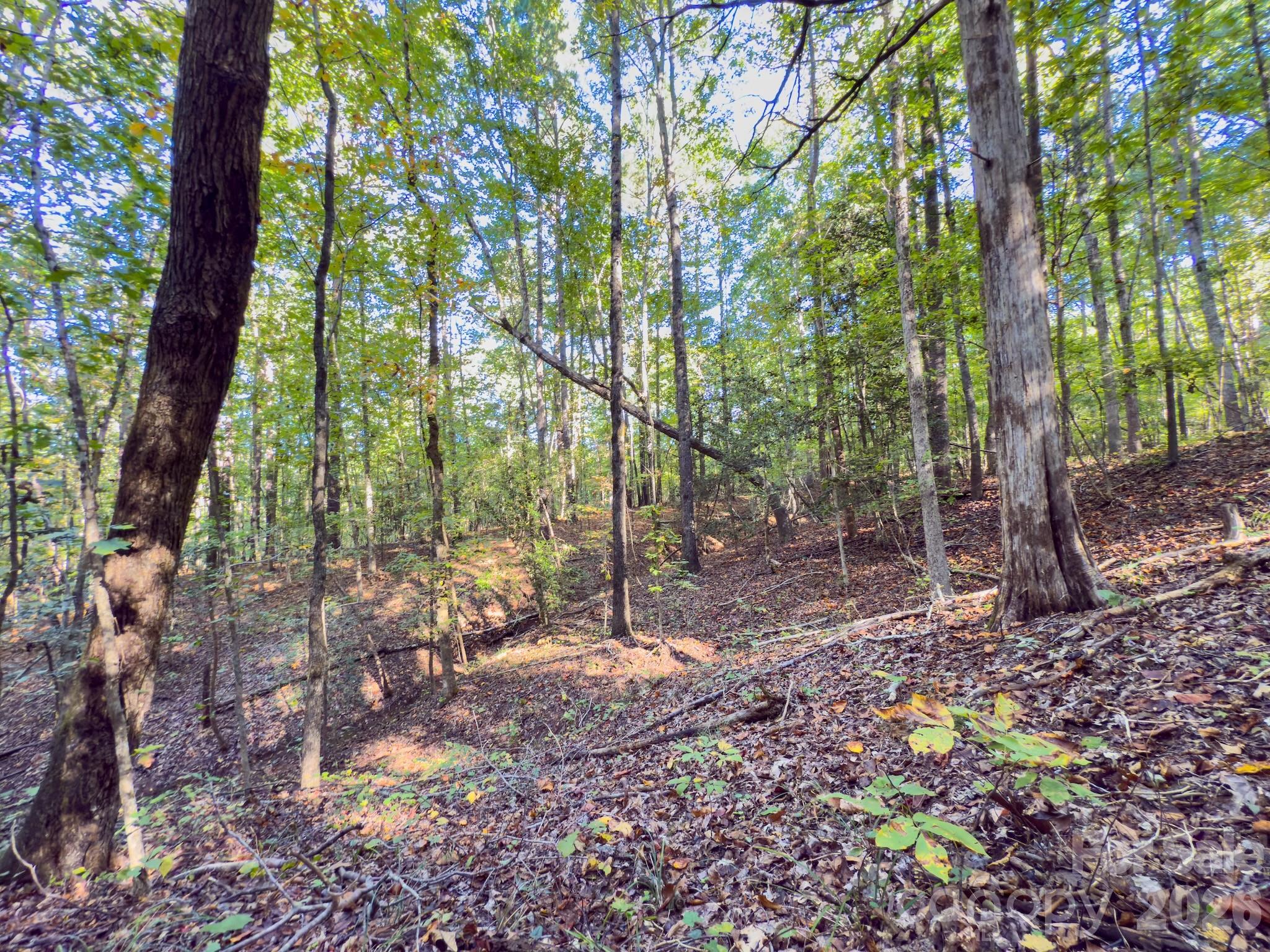 0 Highway 731 Highway E Candor NC 27229
