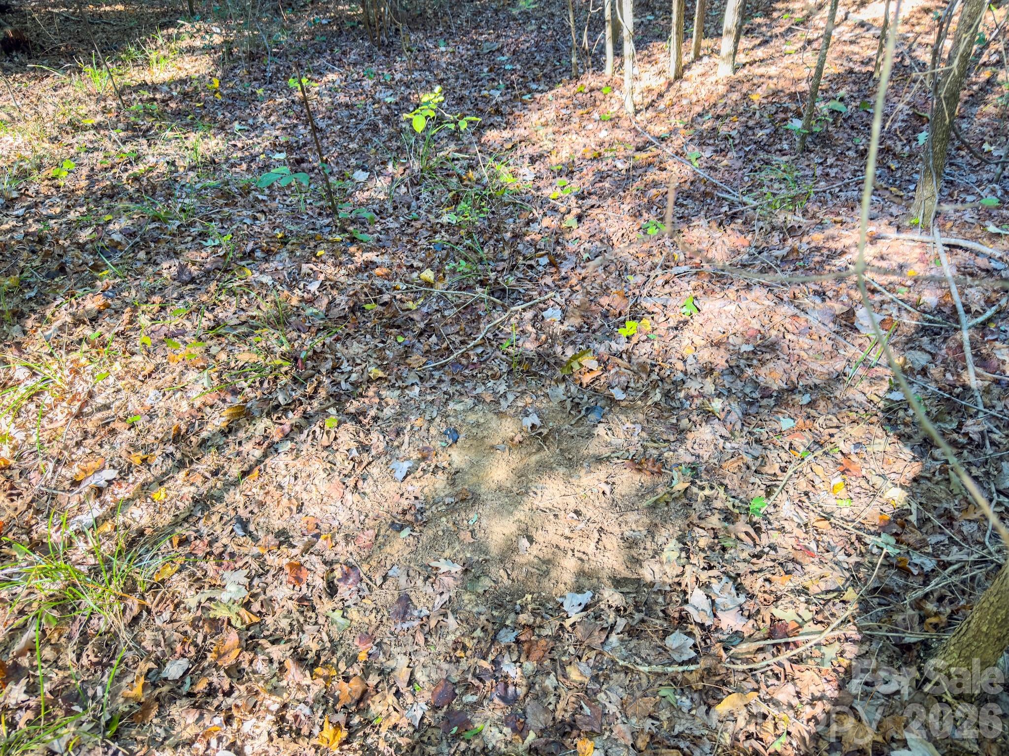 0 Highway 731 Highway E Candor NC 27229