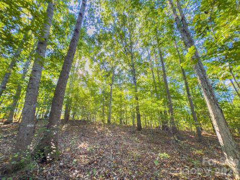 0 Highway 731 Highway E Candor NC 27229
