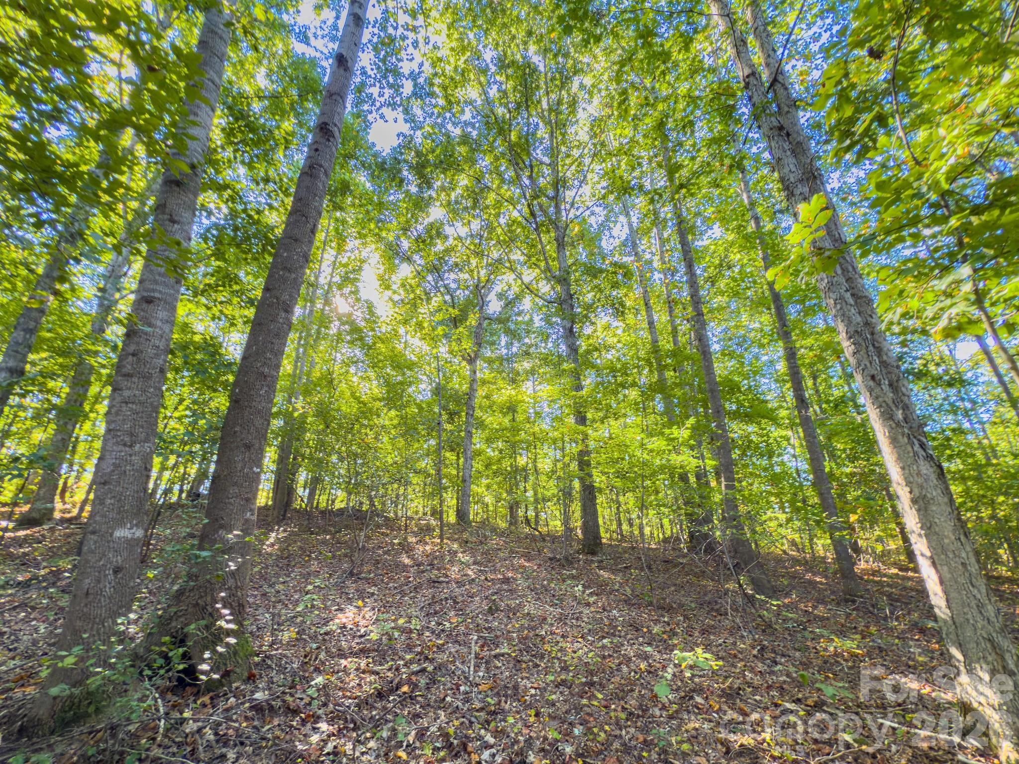 0 Highway 731 Highway E Candor NC 27229