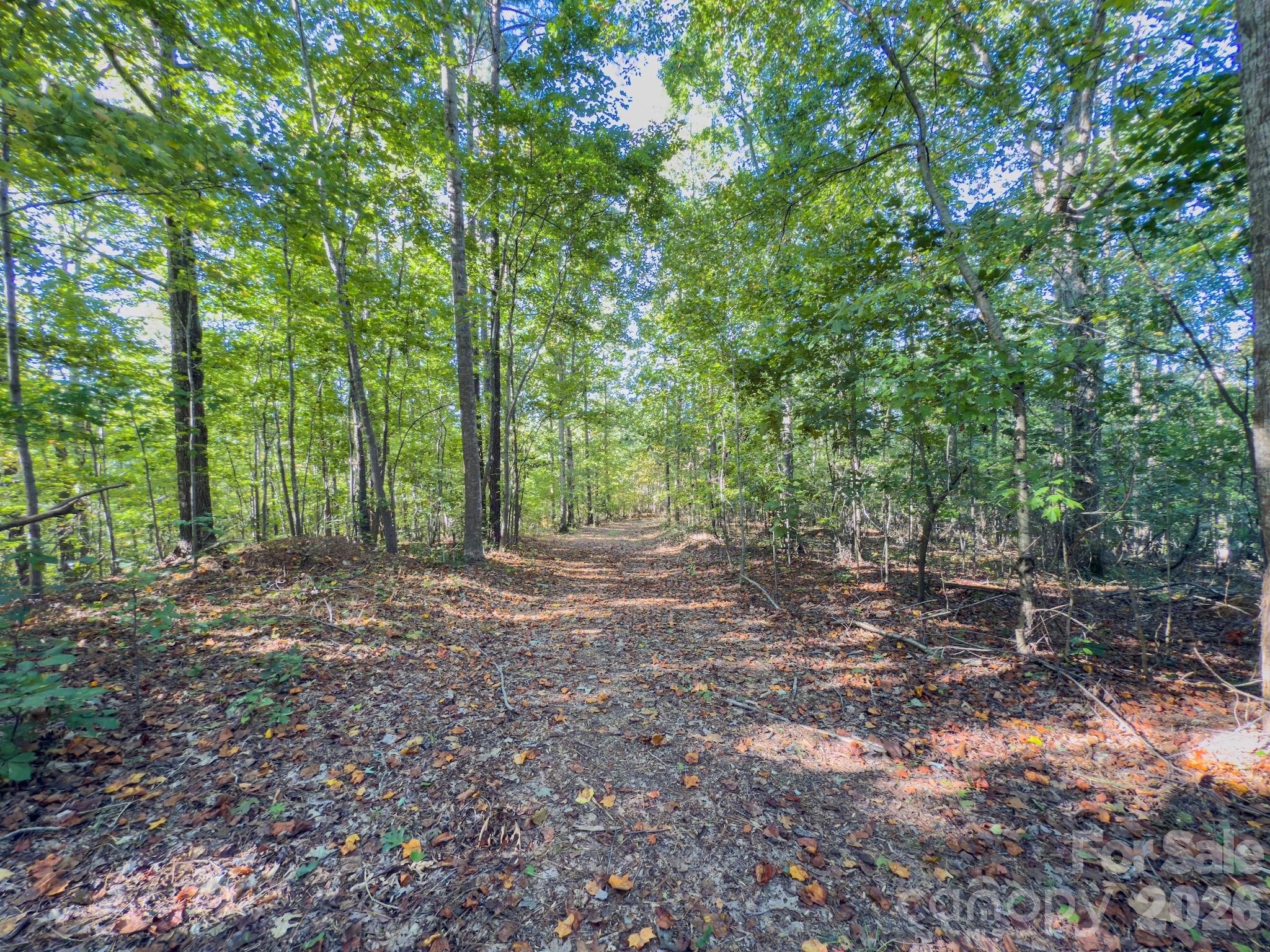 0 Highway 731 Highway E Candor NC 27229