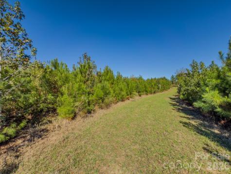 0 Highway 731 Highway E Candor NC 27229