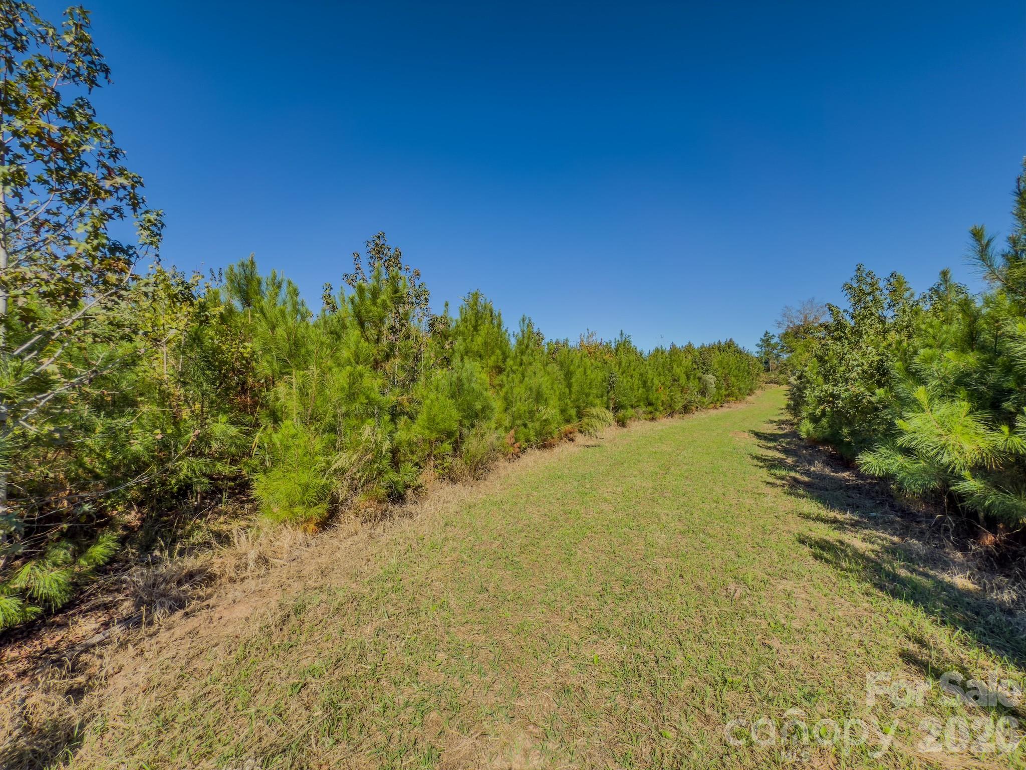 0 Highway 731 Highway E Candor NC 27229