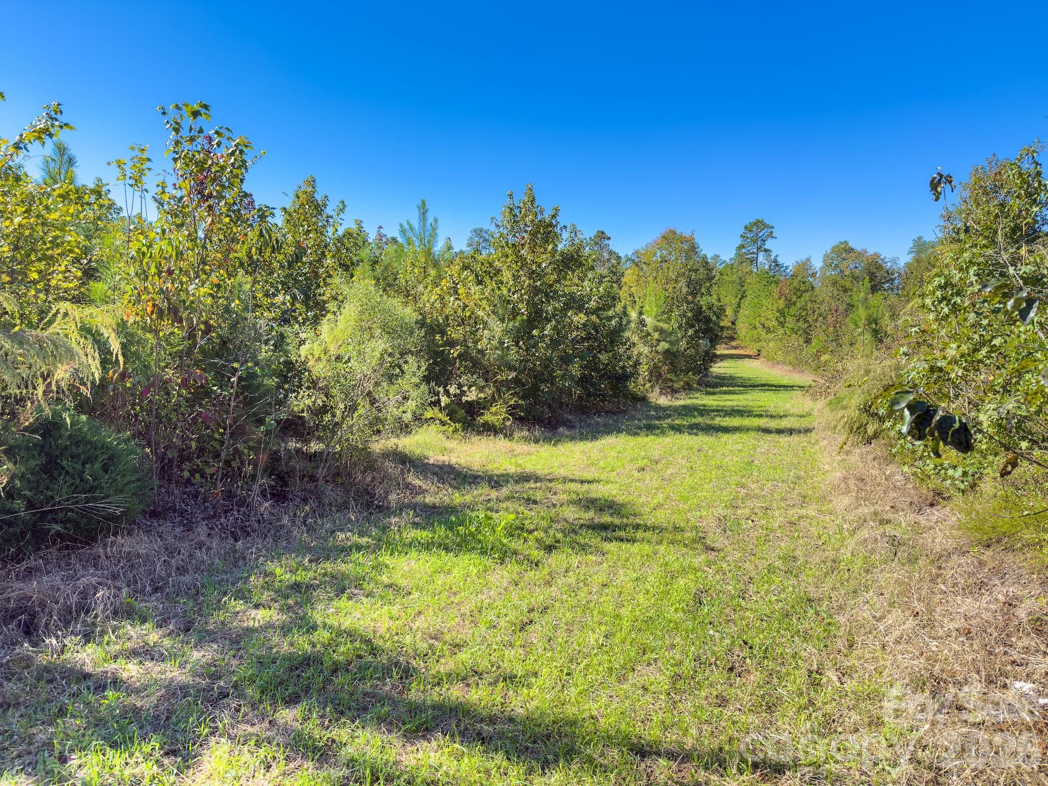 0 Highway 731 Highway E Candor NC 27229