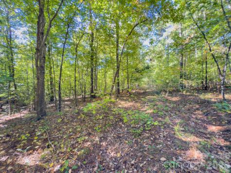0 Highway 731 Highway E Candor NC 27229