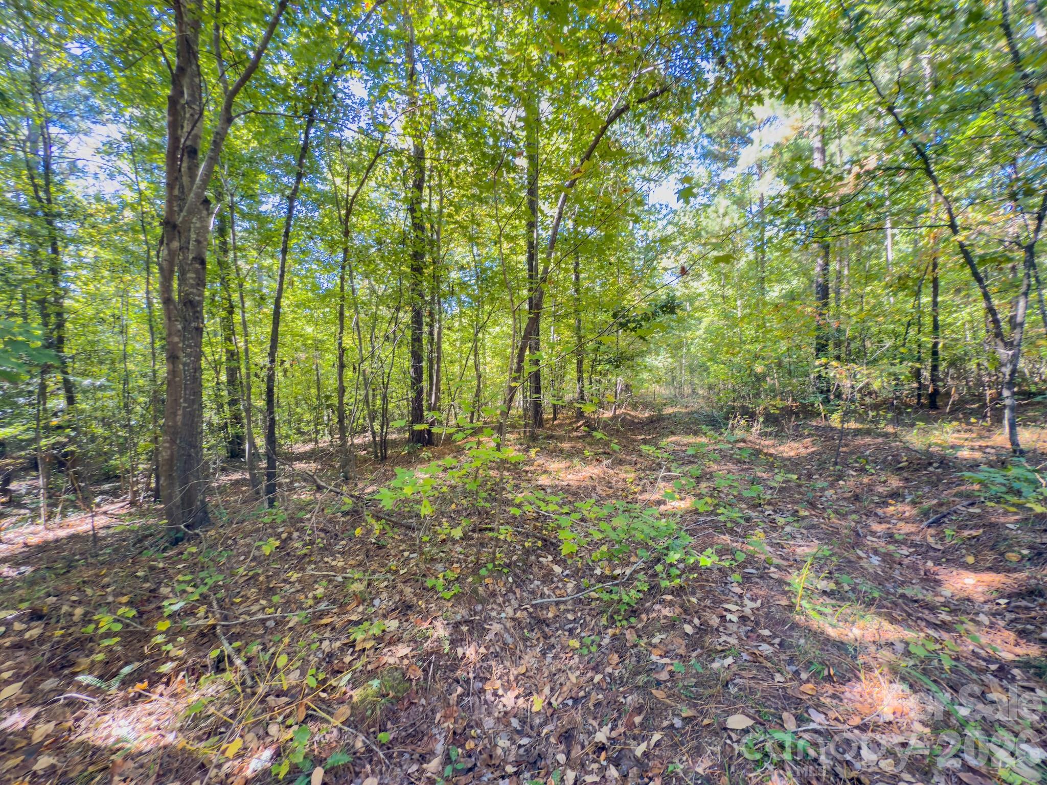 0 Highway 731 Highway E Candor NC 27229