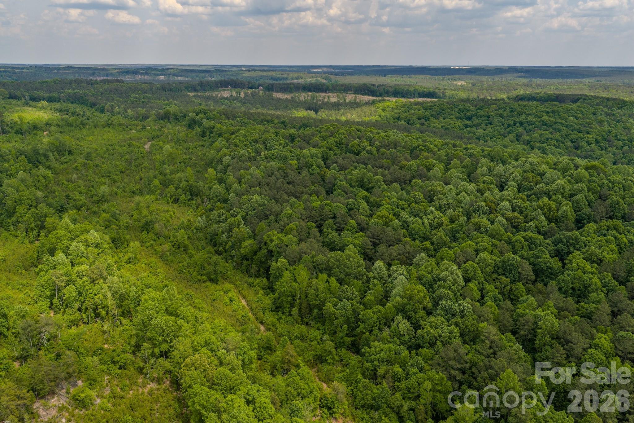 0 Highway 731 Highway E Candor NC 27229
