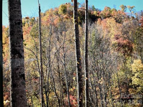 0 Prices Creek Road Burnsville NC 28714