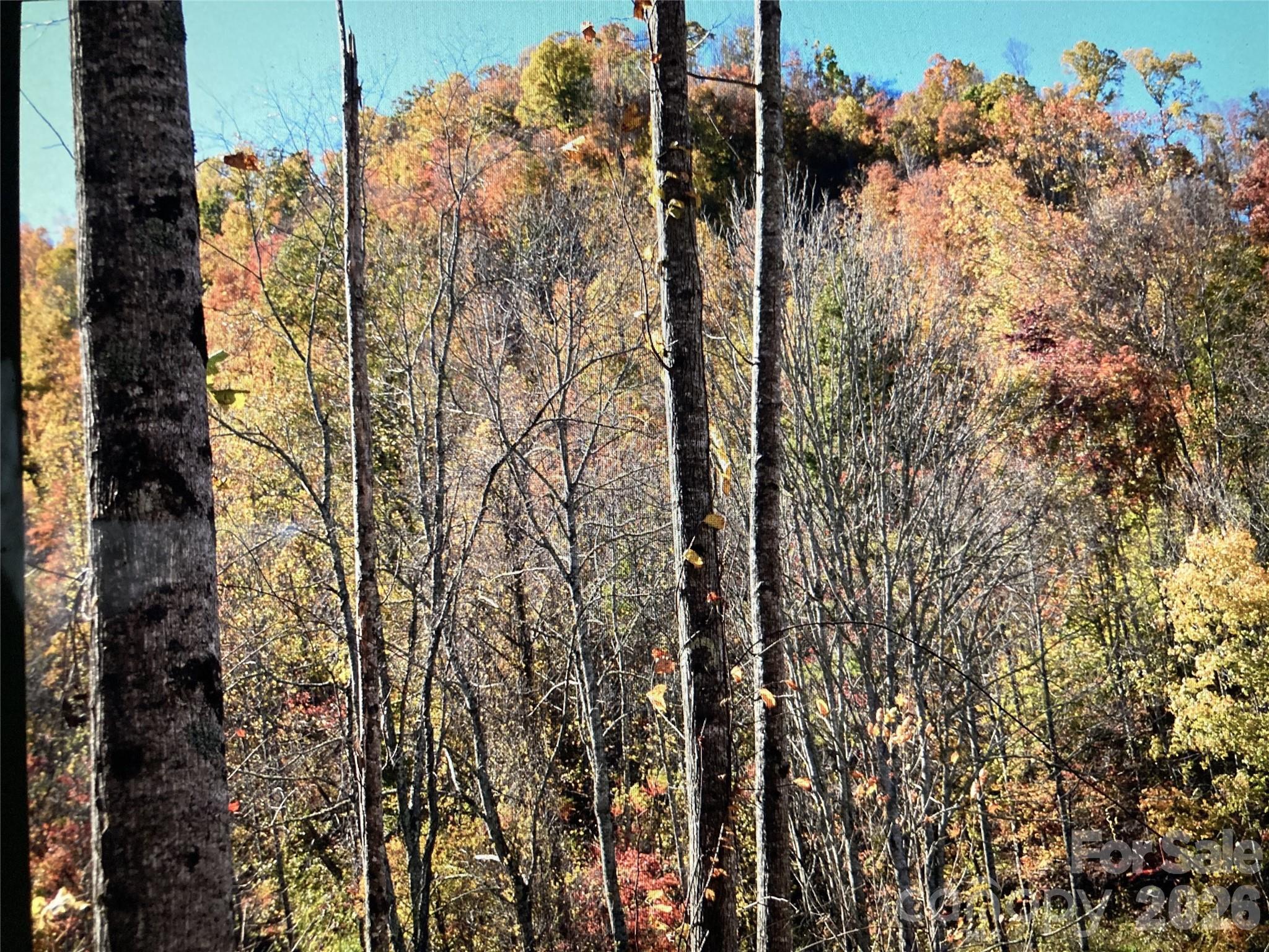 0 Prices Creek Road Burnsville NC 28714