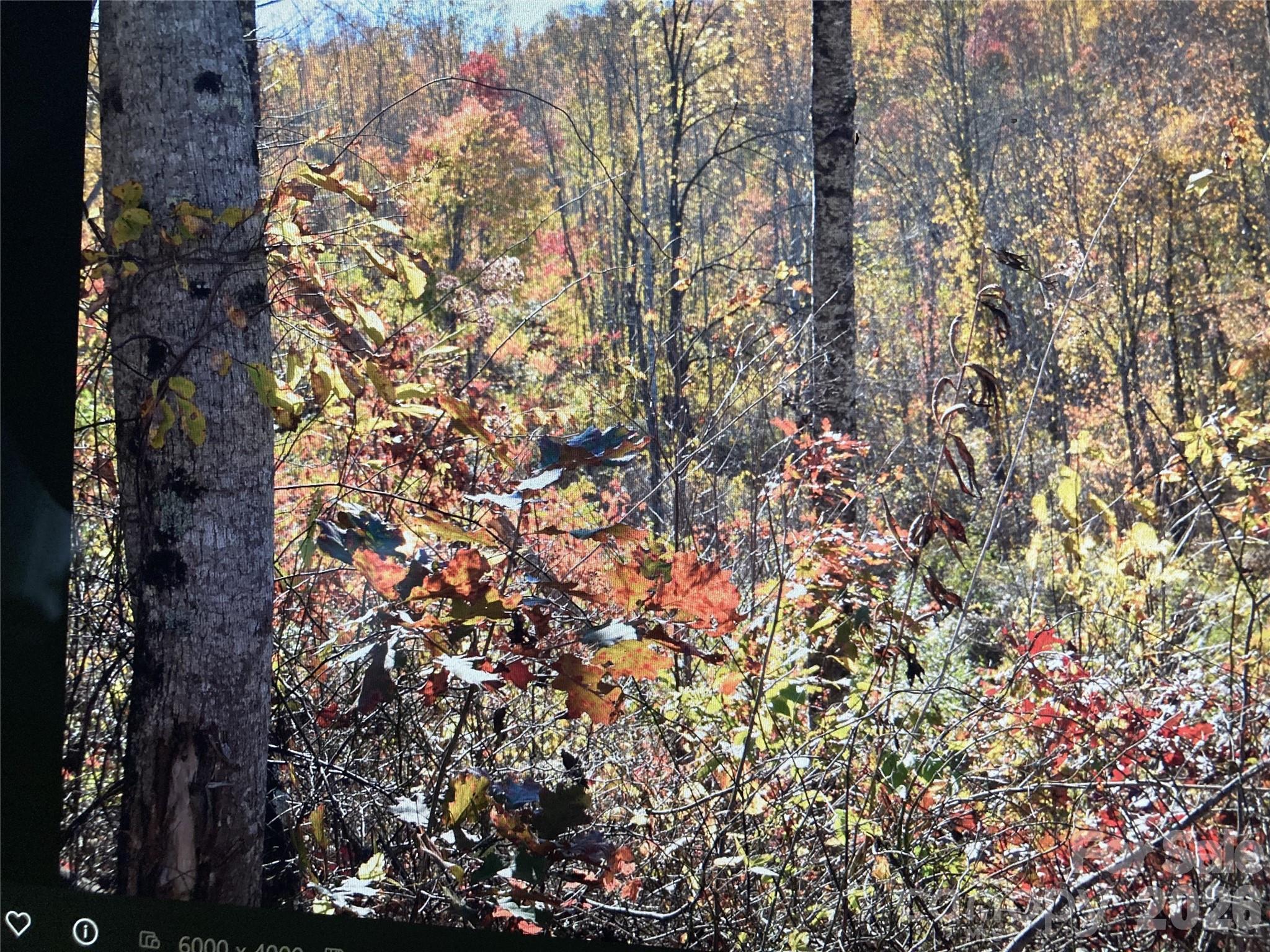 0 Prices Creek Road Burnsville NC 28714