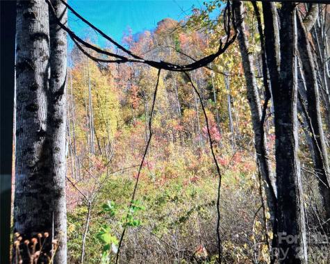 0 Prices Creek Road Burnsville NC 28714